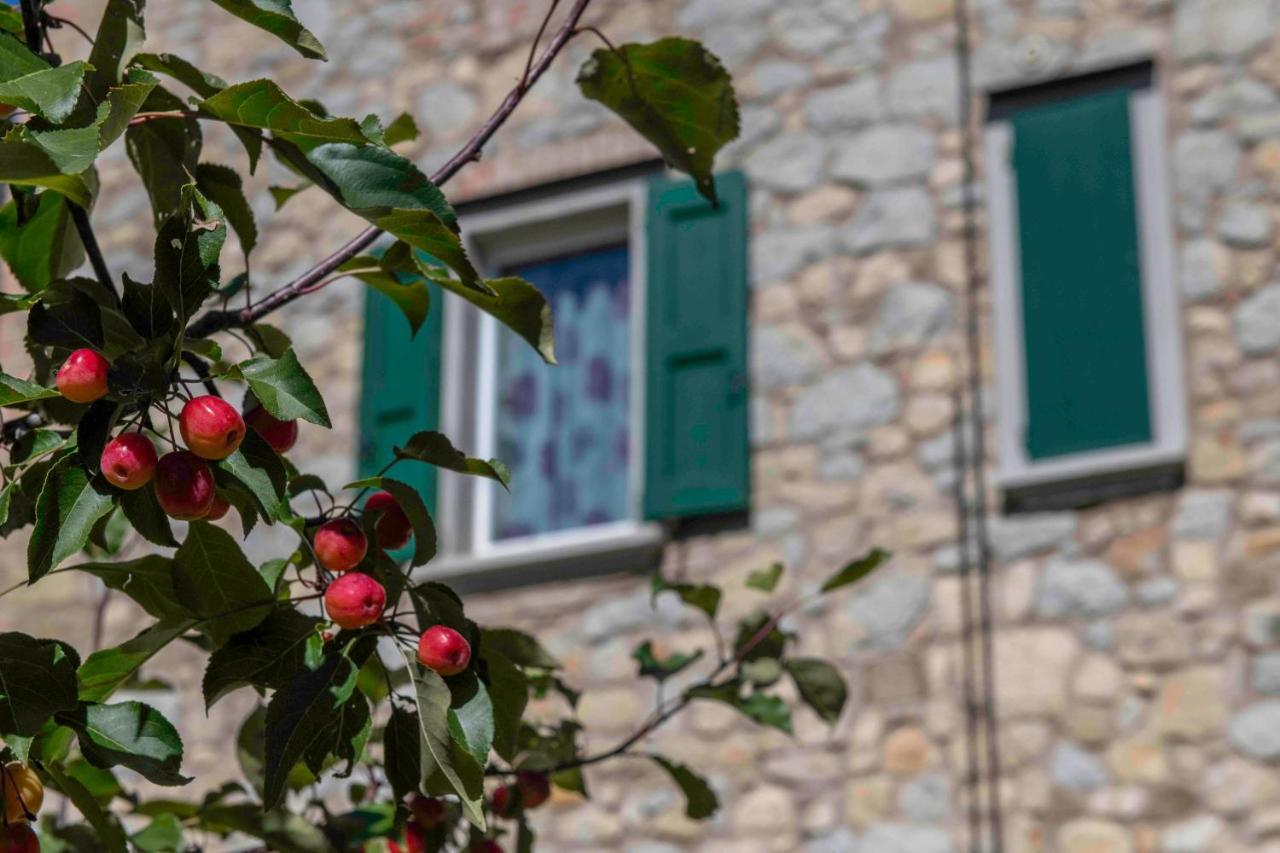 Podere Pratizzoli Tole Екстериор снимка